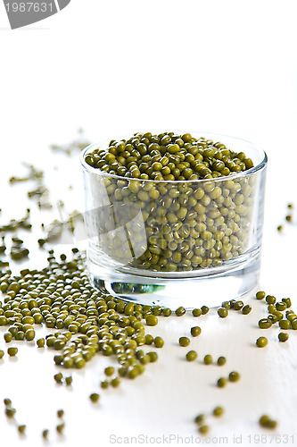 Image of Mung beans