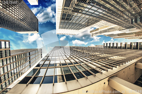 Image of Skyscrapers bask in sunlight