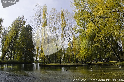 Image of Vegetation of Fonti del Clitunno Park in Umbria
