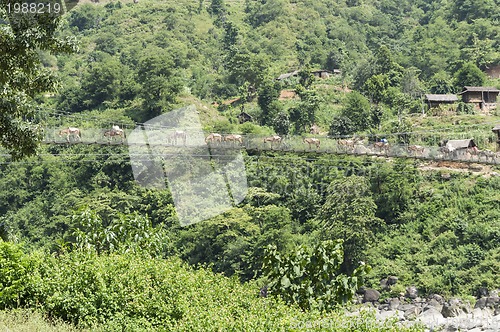 Image of landscape with forest and bridge in nepal