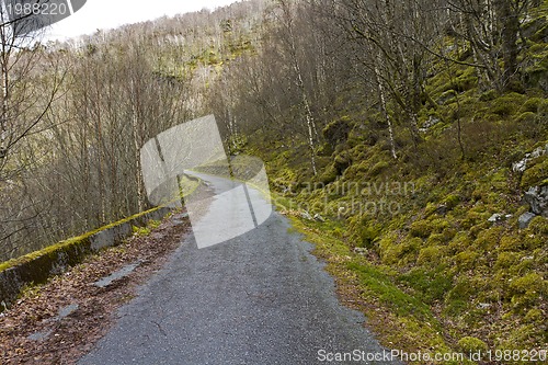 Image of run-down road in rural landscape