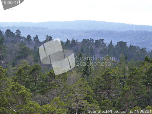 Image of view over forest in norway