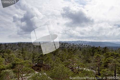 Image of view over forest with cloudy sky