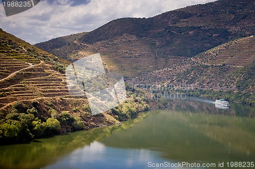 Image of Vineyards of the Douro Valley, Portugal