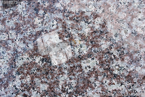 Image of colored marble terxure