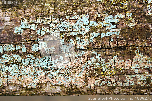 Image of grunge wooden texture