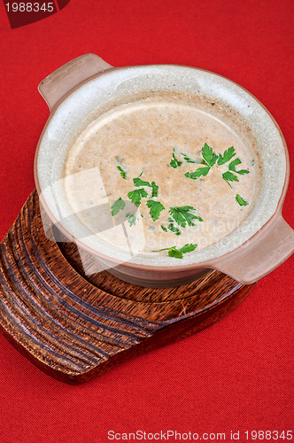 Image of Mushroom cream  soup