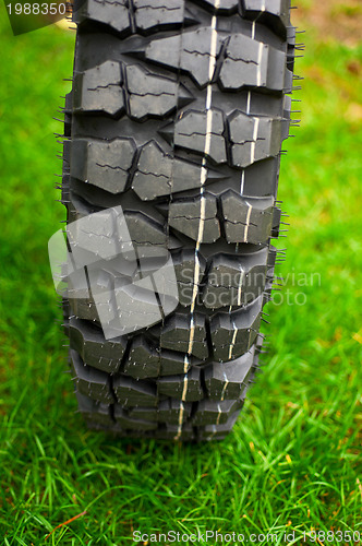 Image of Tire at green grass