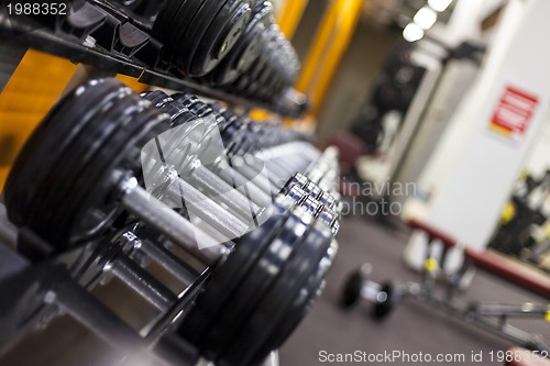 Image of Weight Rack. Gym weights. Dumbbells