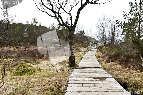 Image of wooden foot path in rural landscape