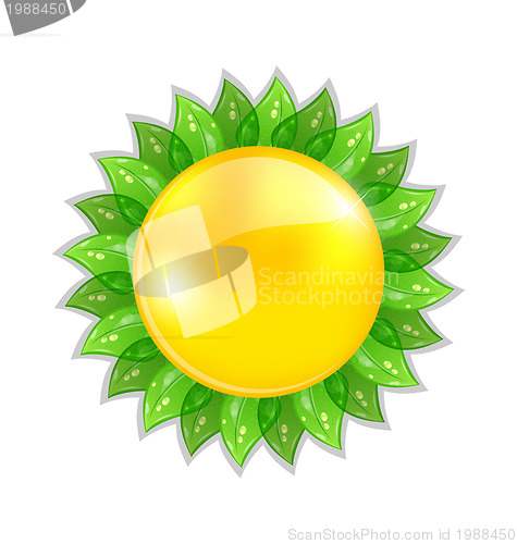 Image of Abstract sun with leaves isolated on white background