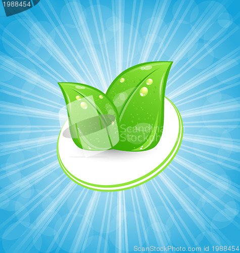 Image of Eco friendly card with green leaves and blue rays