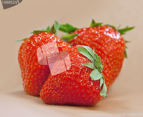 Image of Fresh strawberry l