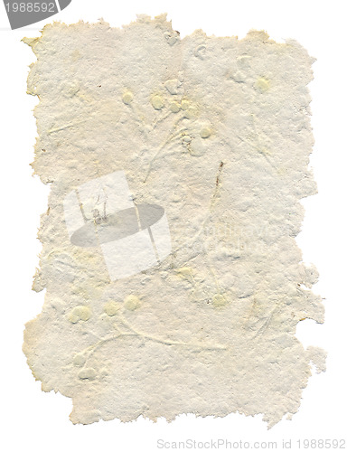 Image of Handmade paper with leaves and flowers inside