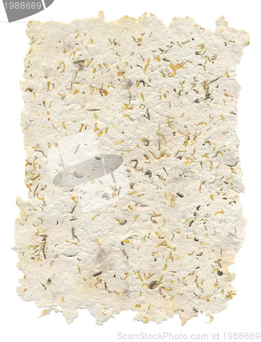 Image of Handmade paper with seeds and petals inside