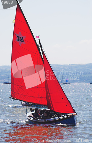 Image of Yacht race 2