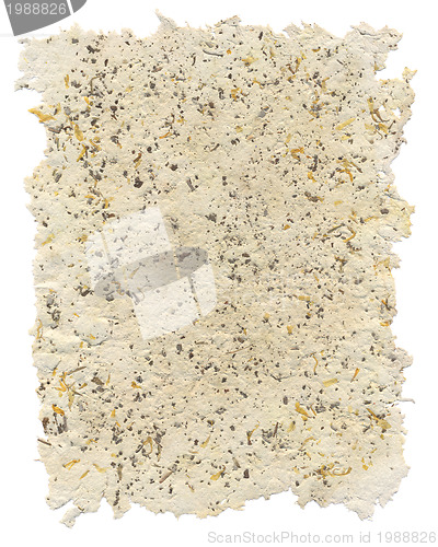 Image of Handmade paper with petals and parts of salvia inside