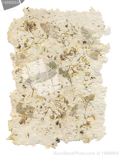 Image of Handmade paper with leaves and flowers inside