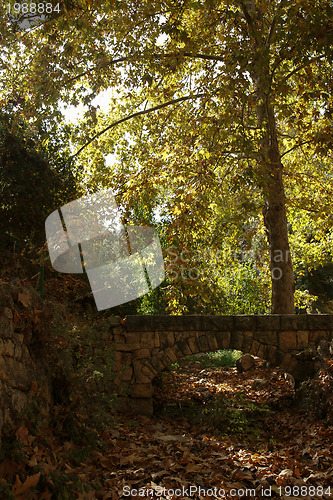 Image of Autumn near jerusalem