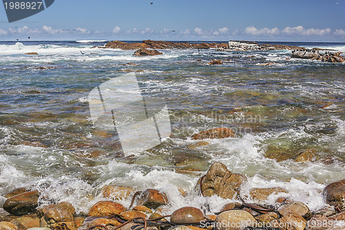 Image of The Atlantic Ocean Coast in South Africa