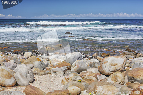 Image of The Atlantic Ocean Coast in South Africa