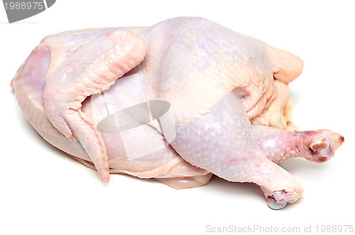 Image of raw chicken 