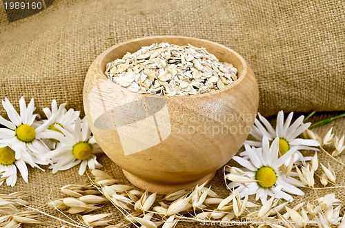 Image of Oat flakes in a bowl with chamomiles