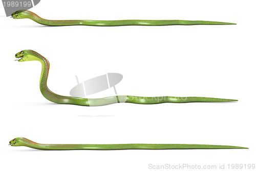 Image of Set of crowling green cobras