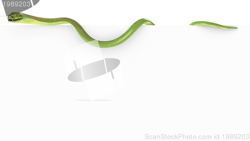 Image of Blank paper with cobra on the top