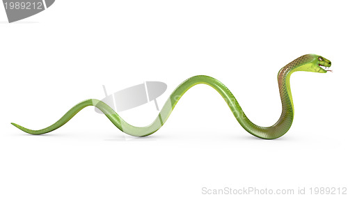 Image of Crawling green cobra
