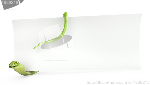 Image of Cobra holds planks paper