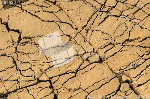 Image of Detail of limestone surface, Vrboska, north of Croatia