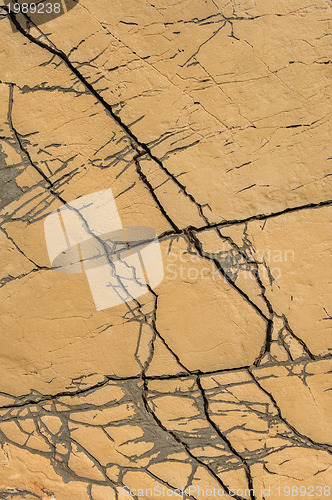 Image of Detail of limestone surface, Vrboska, north of Croatia