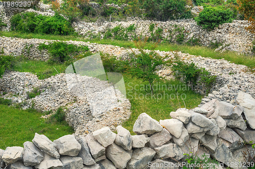 Image of Sheep pasture, drystone walls, Rudine, Krk island, Croatia