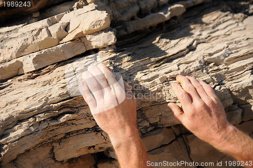 Image of Rock climber, detail of hands