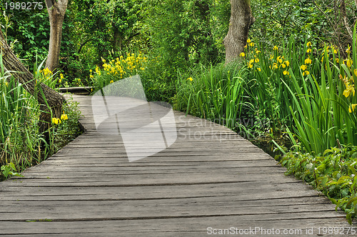 Image of Footbridge in Krka National Park, Croatia