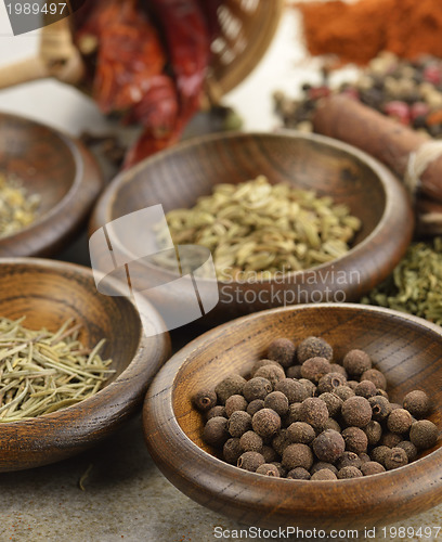 Image of Spices Assortment