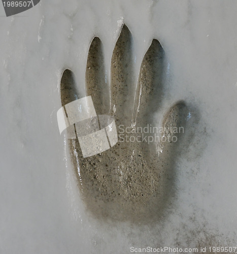 Image of Hand Print On Ice