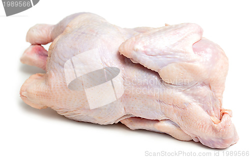 Image of raw chicken 