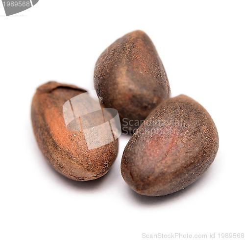 Image of cedar nuts
