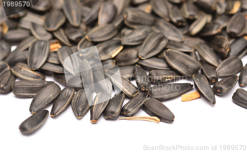 Image of sunflower seeds