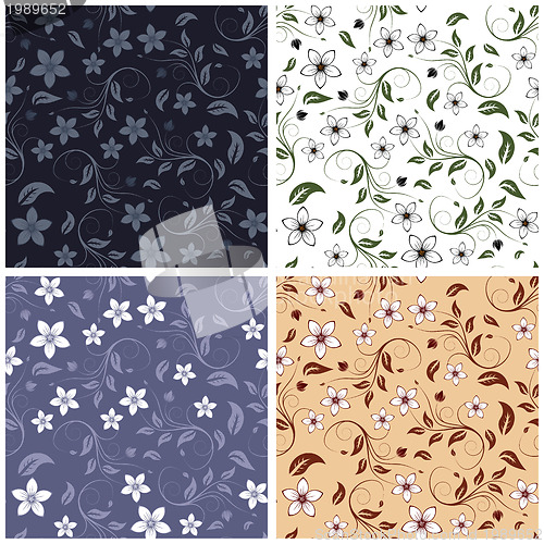 Image of Floral Seamless Color Set