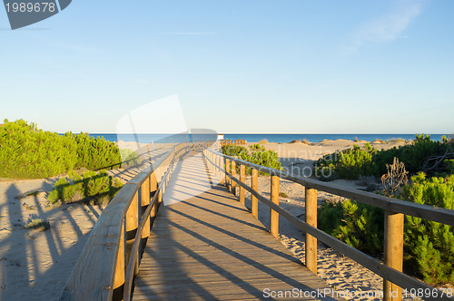 Image of Carabassi beach