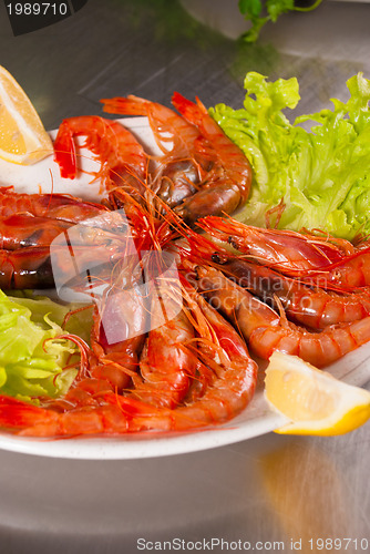 Image of Prawns