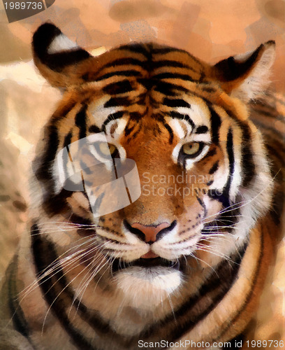 Image of Tiger Face Portrait Painting