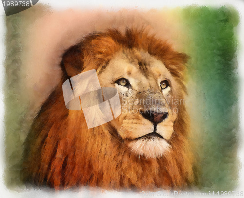 Image of Royal King Lion Portrait Water Color Painting