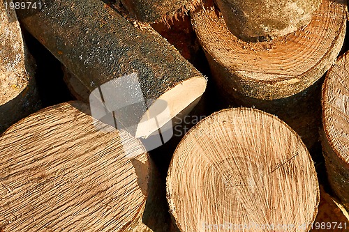 Image of Bunch of cut firewood logs