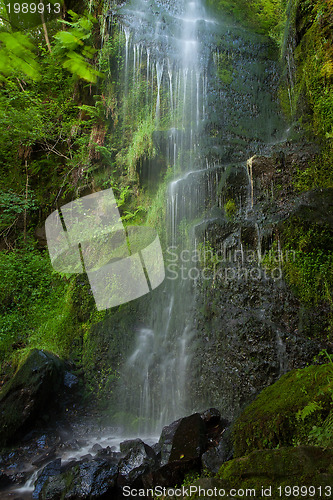 Image of Mallyan Spout waterfall