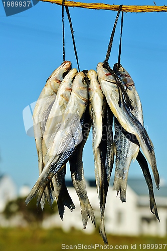 Image of Bokkoms dried fish