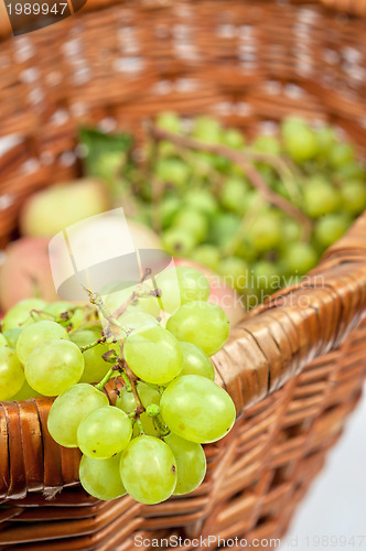 Image of apples and grapes